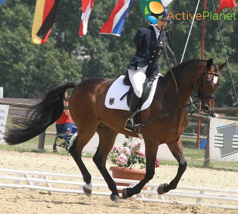 Paralympic Equestrian Training  